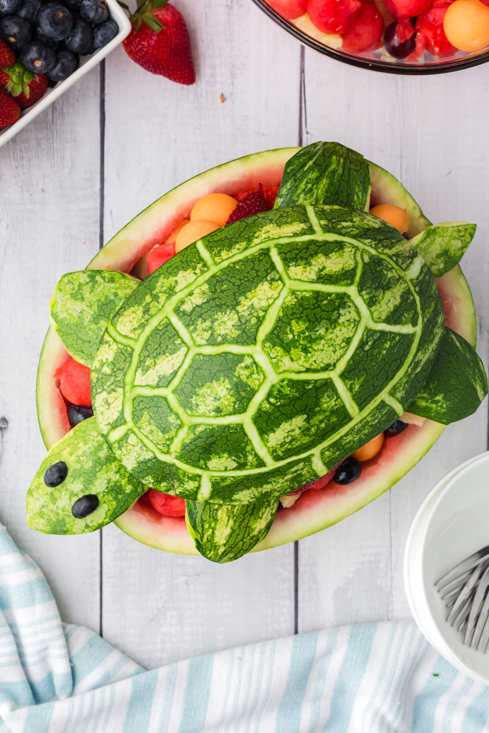 Overhead view of Turtle Watermelon Fruit Salad.