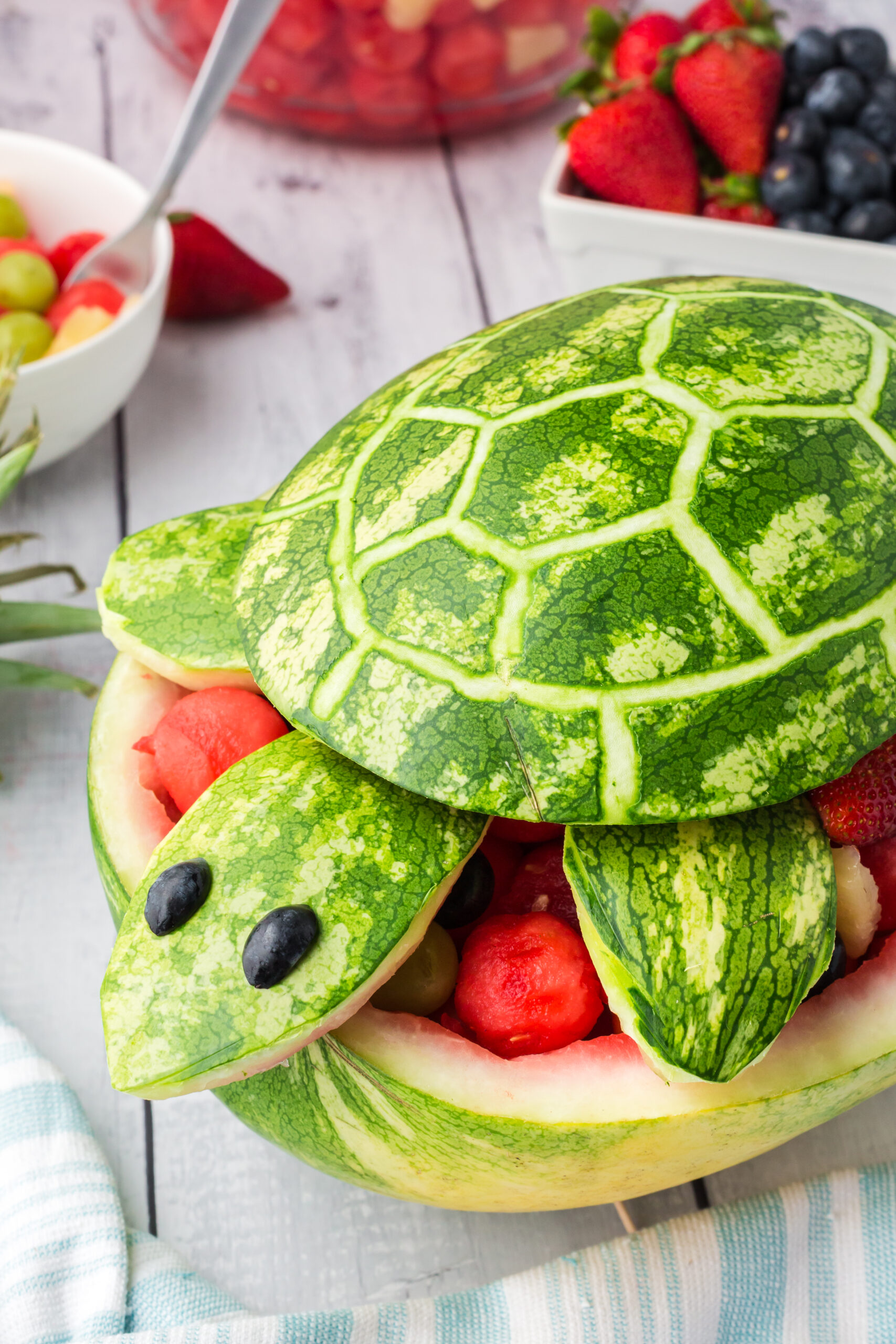 Overhead view of Turtle Watermelon Fruit Salad.