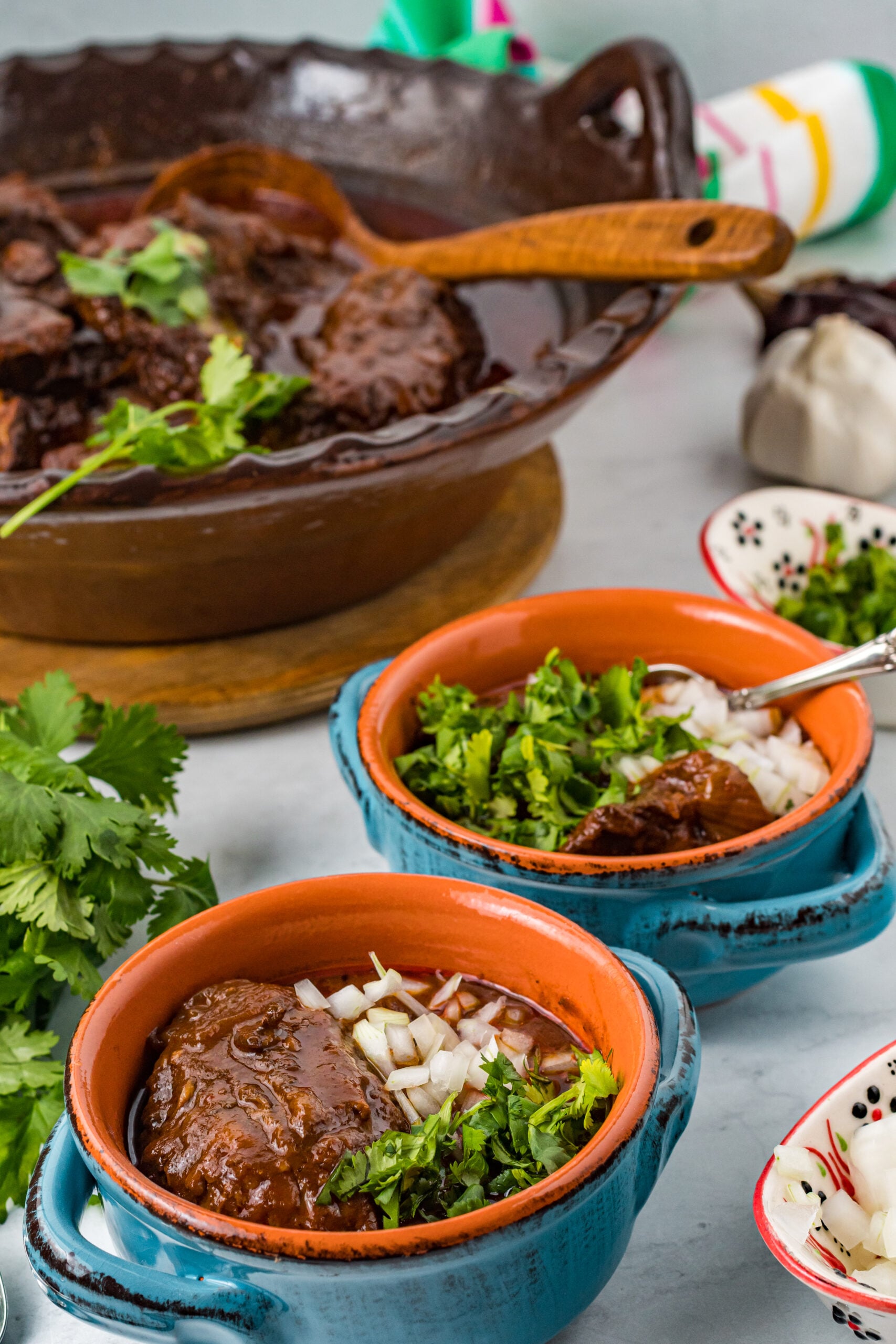 Front view of a serving of Beef Birria in a bowl topped with chopped onions.