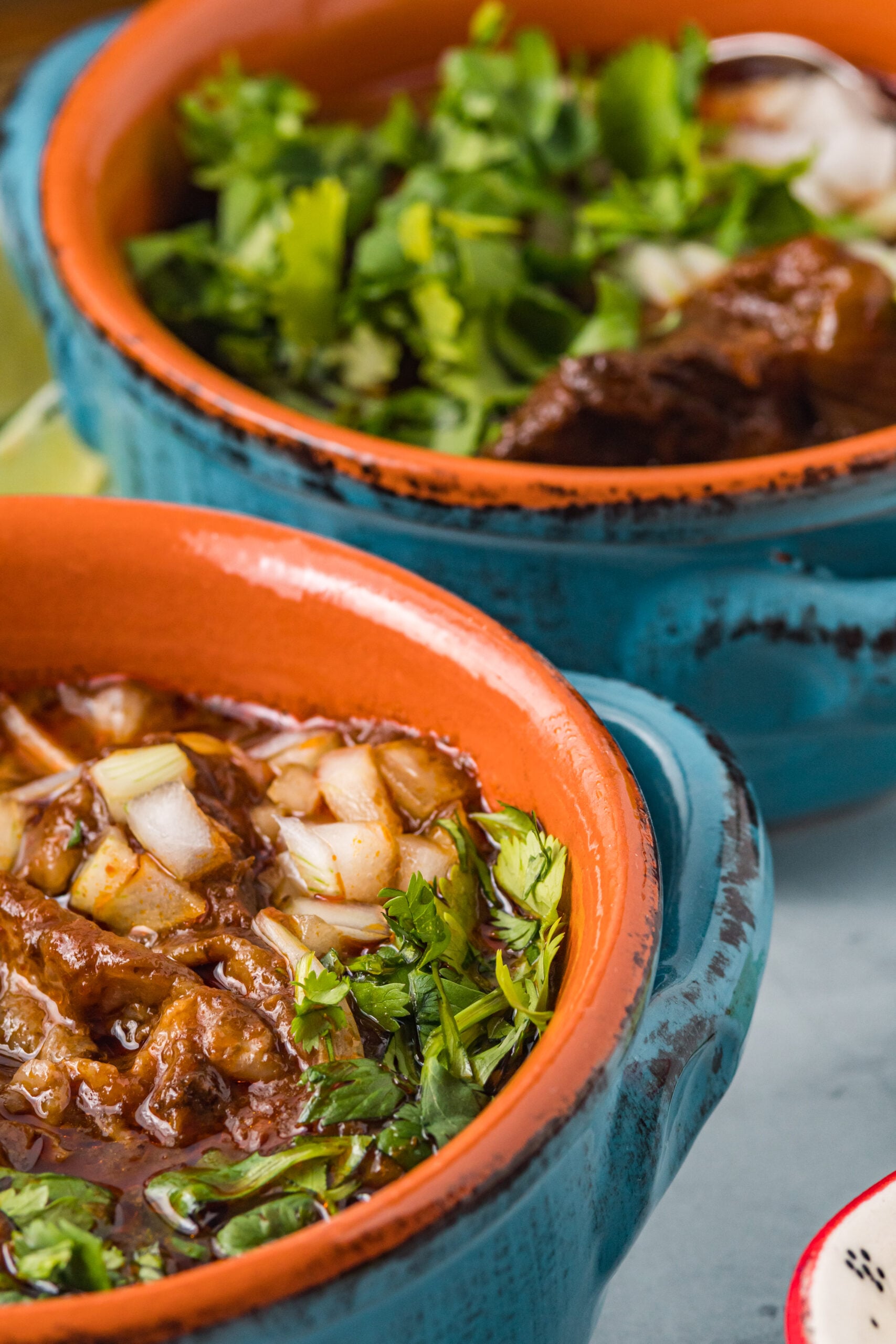 Close up view of a serving of Beef Birria in a bowl topped with chopped onions.