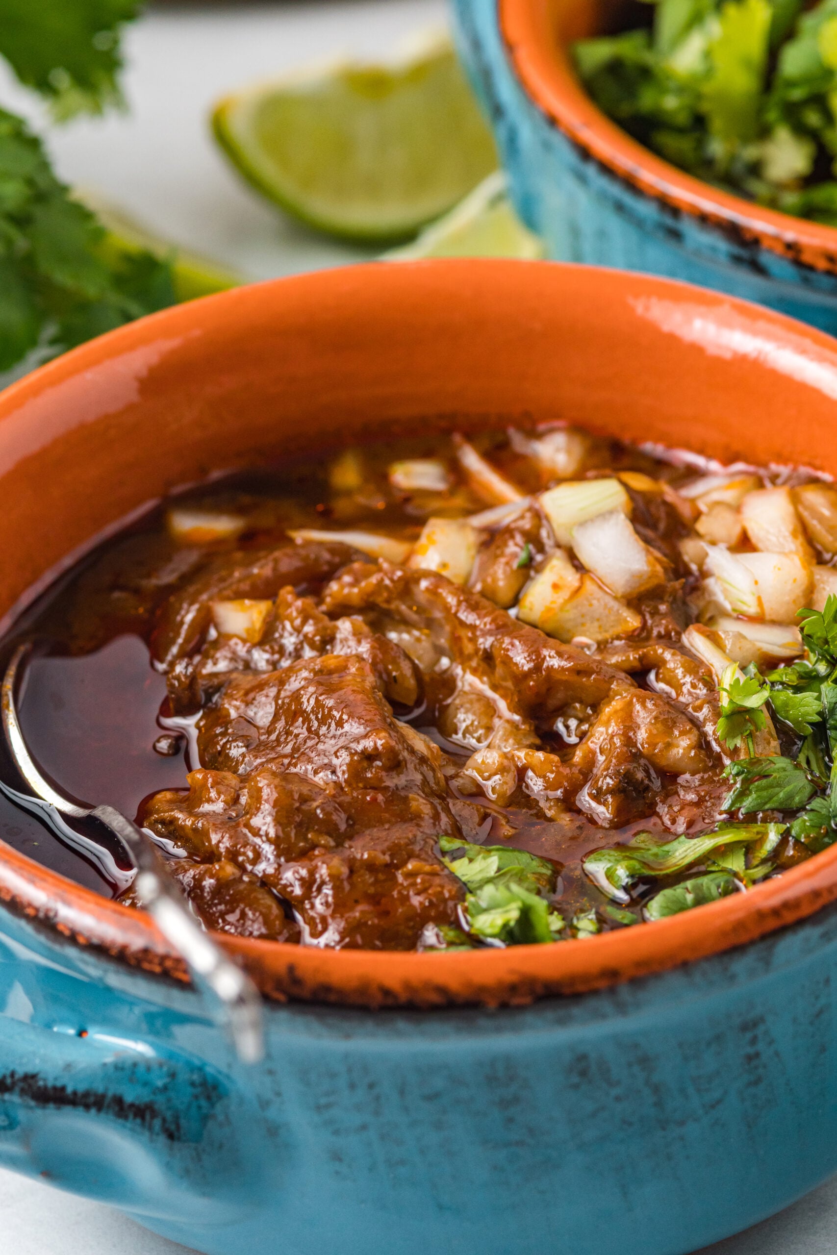 Close up view of a serving of Beef Birria in a bowl topped with chopped onions.