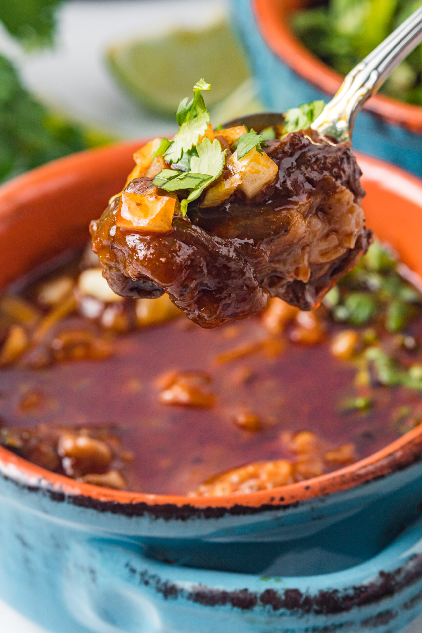 Close up view of a bite of Beef Birria in a silver spoon.