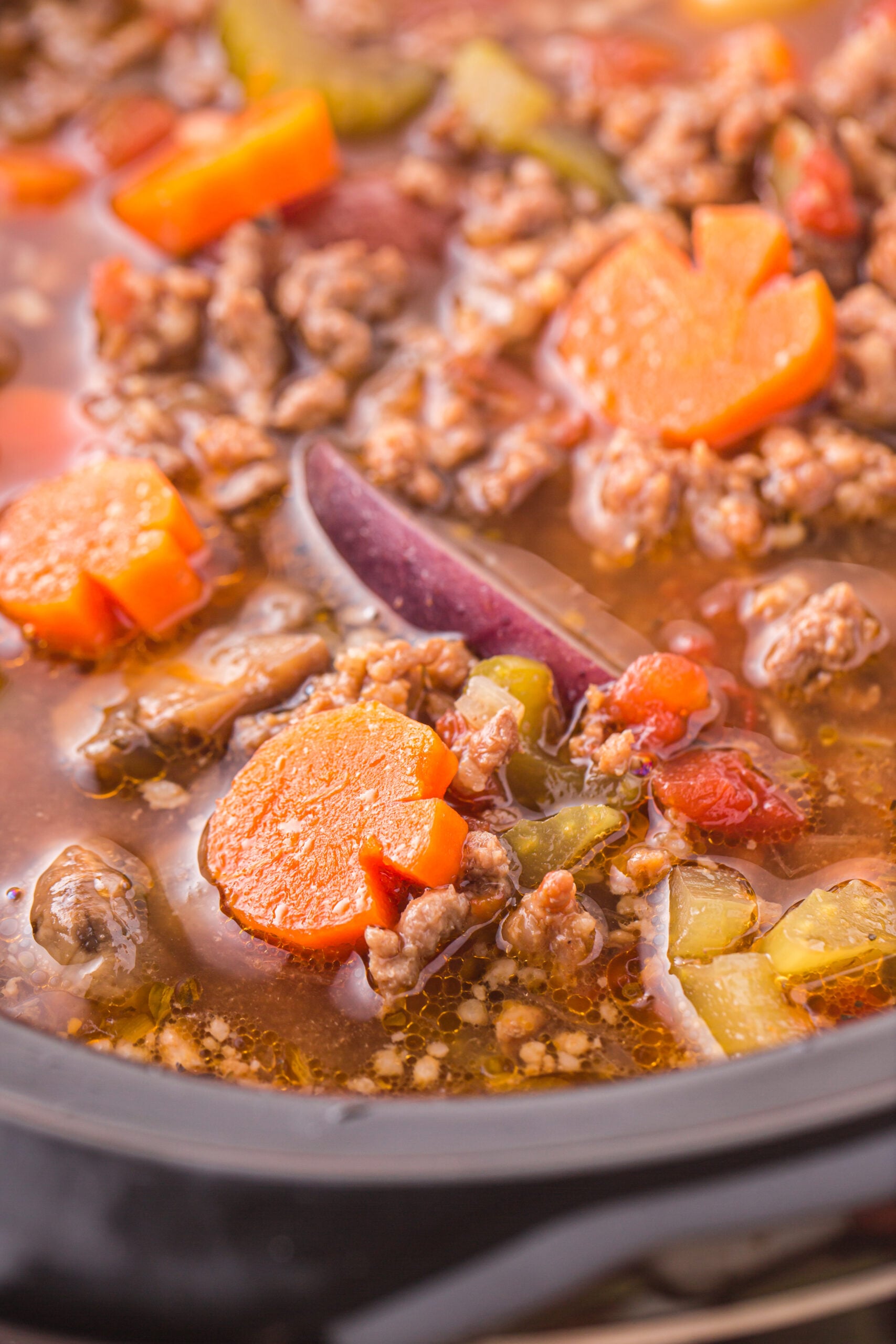 Close up view of Witches Brew Stew in a slow cooker.