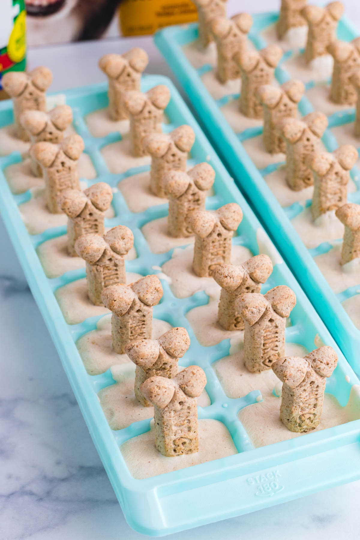 pup ice cream in a blue ice cube tray on a marble table