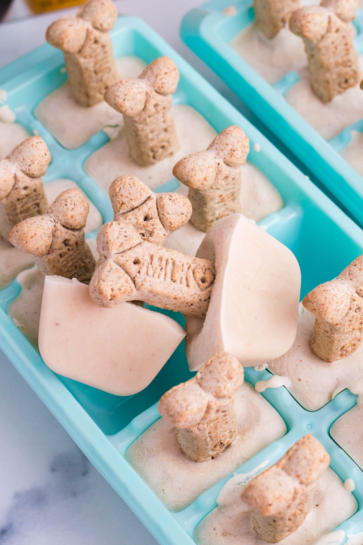 Dog ice cream on a milkbone stick sitting on a blue ice cube tray