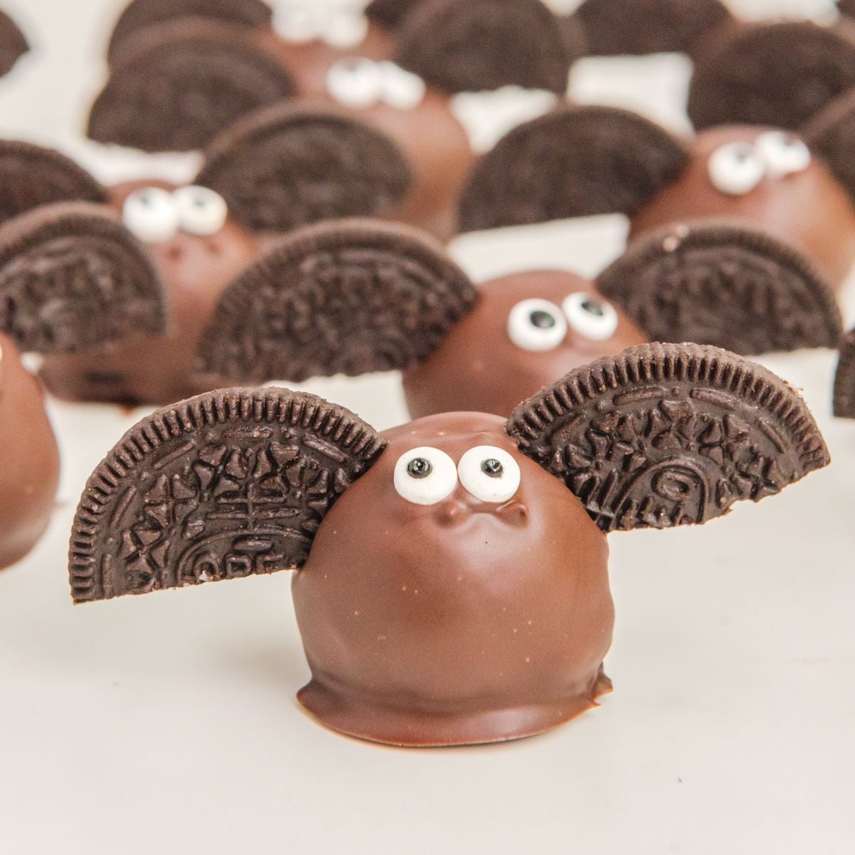 Bat Oreo Truffles on counter