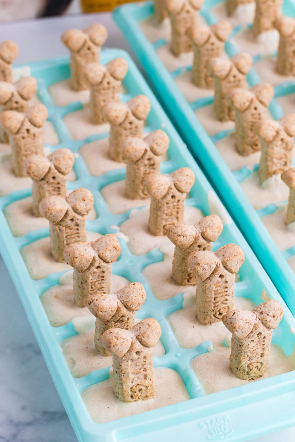 diy dog ice cream treats in ice cube trays on table
