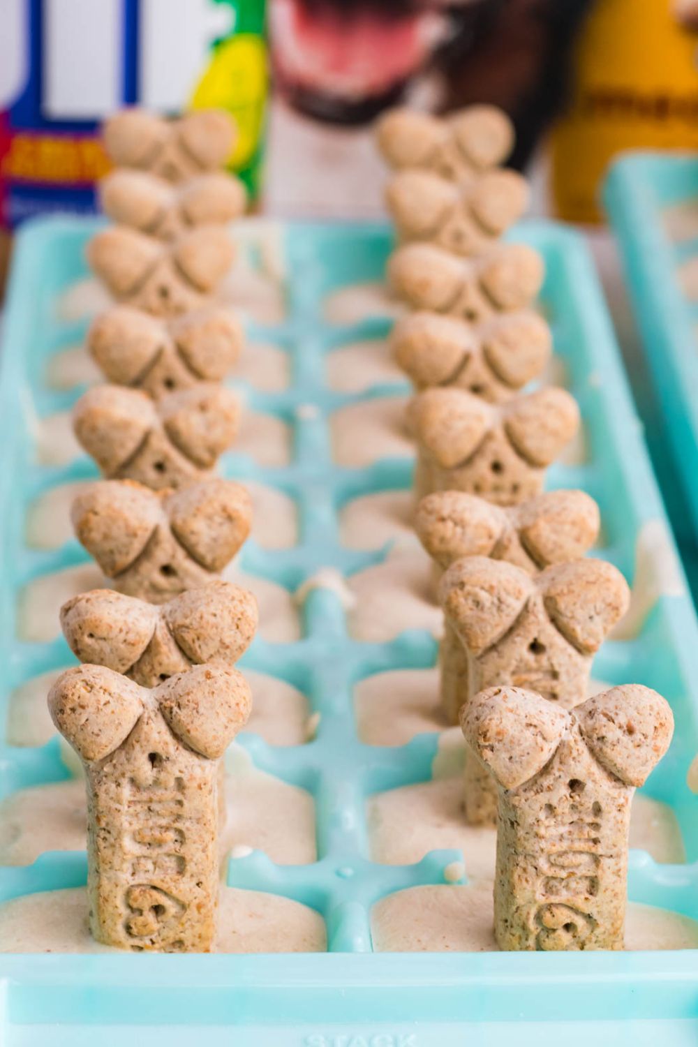 ice cream dog treats in a popsicle mold on table