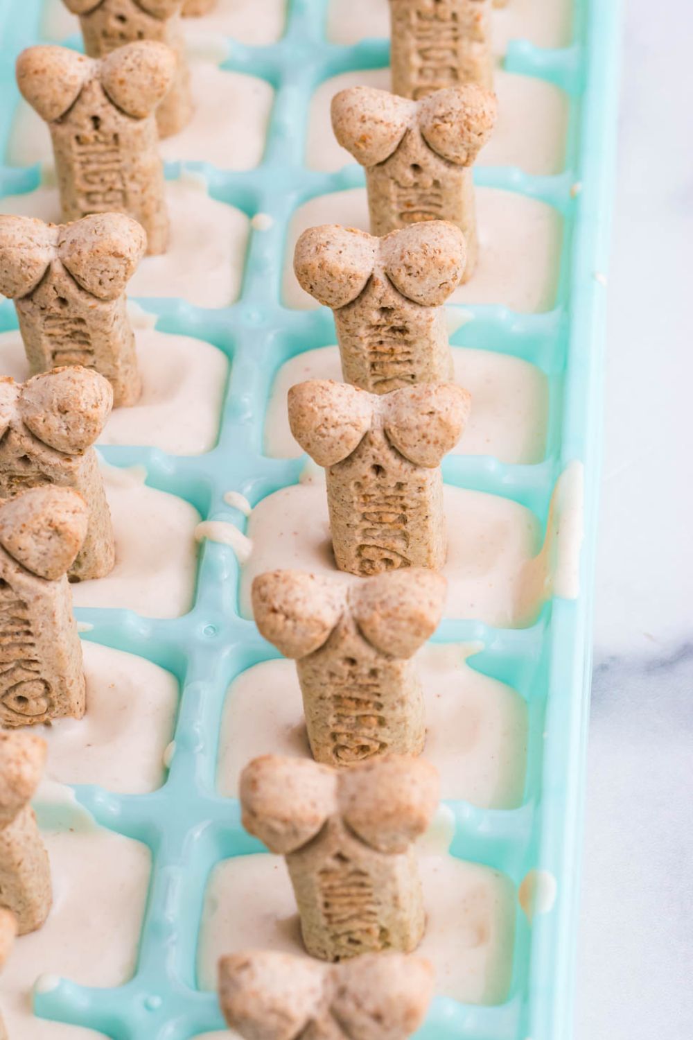 side view of ice cream for dogs in mold with dog biscuits on top