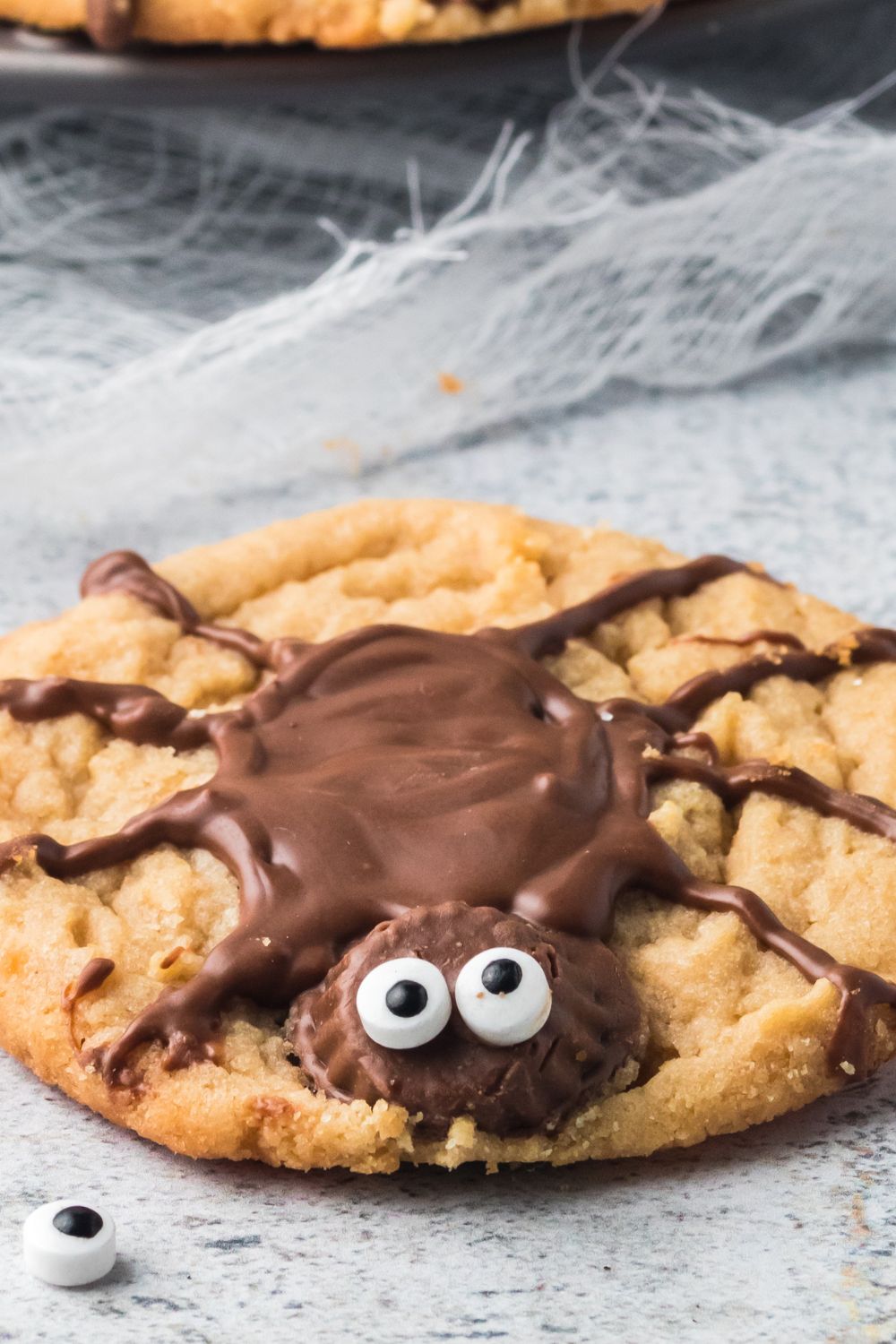 spider cookie sitting on concrete counter