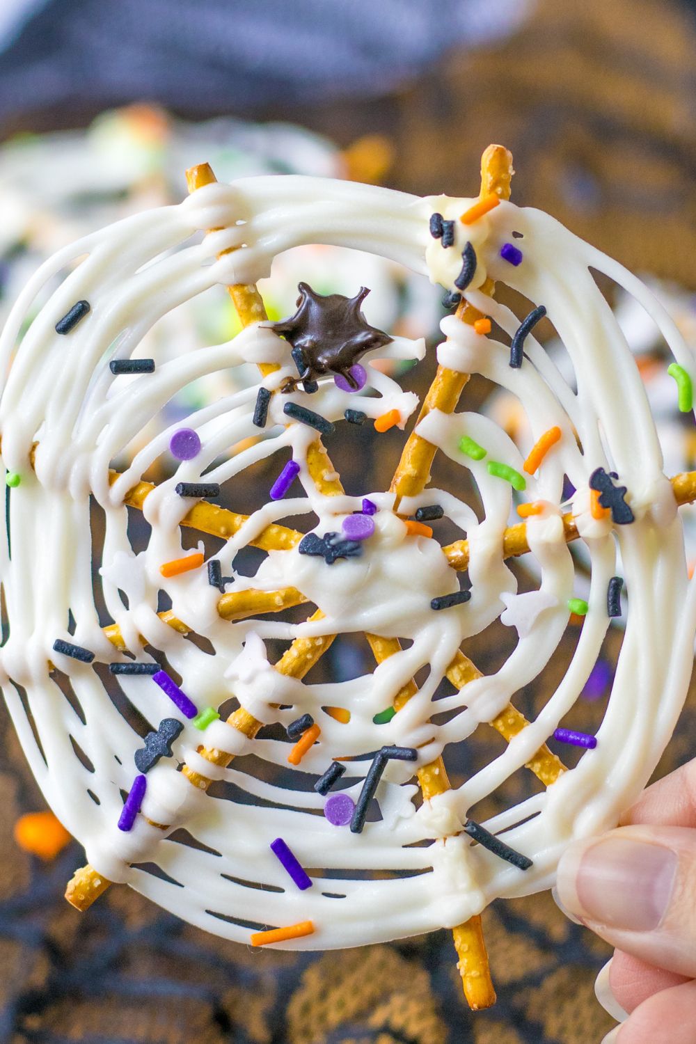 close up of a white chocolate spider web made out of pretzels