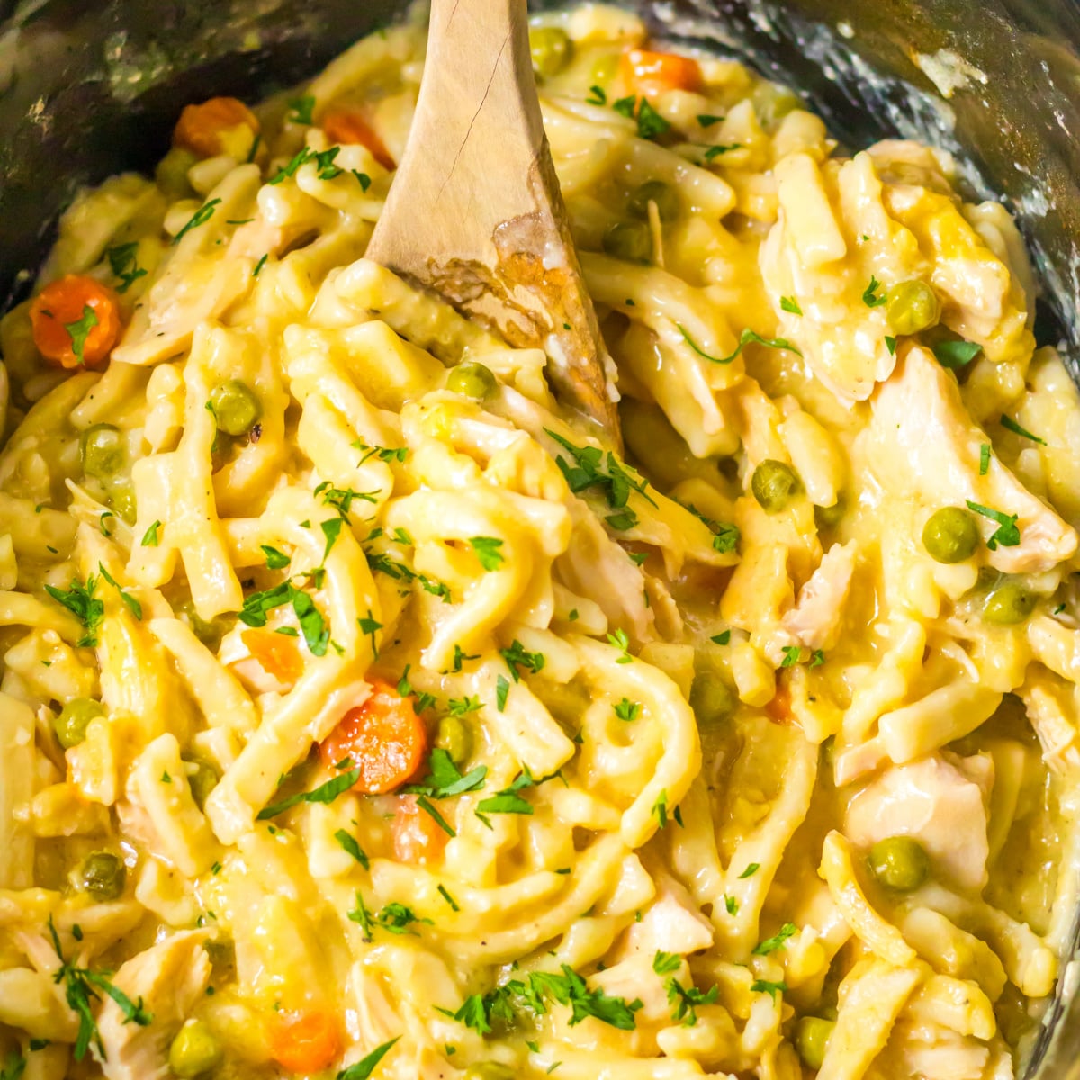 Crock Pot Chicken and Noodles