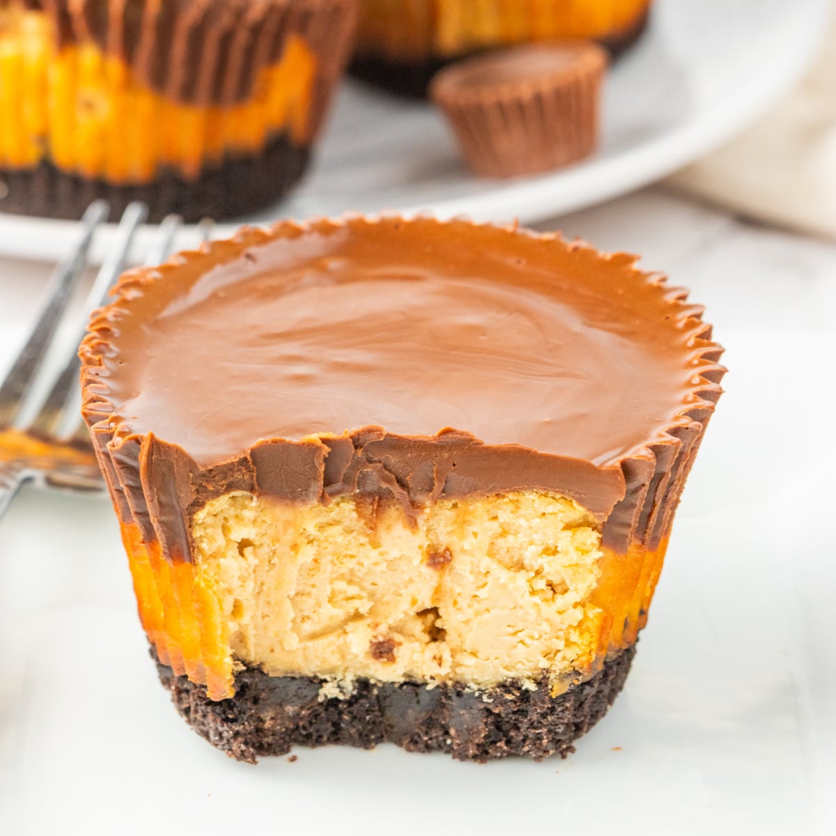 Peanut Butter Cheesecake Bites
