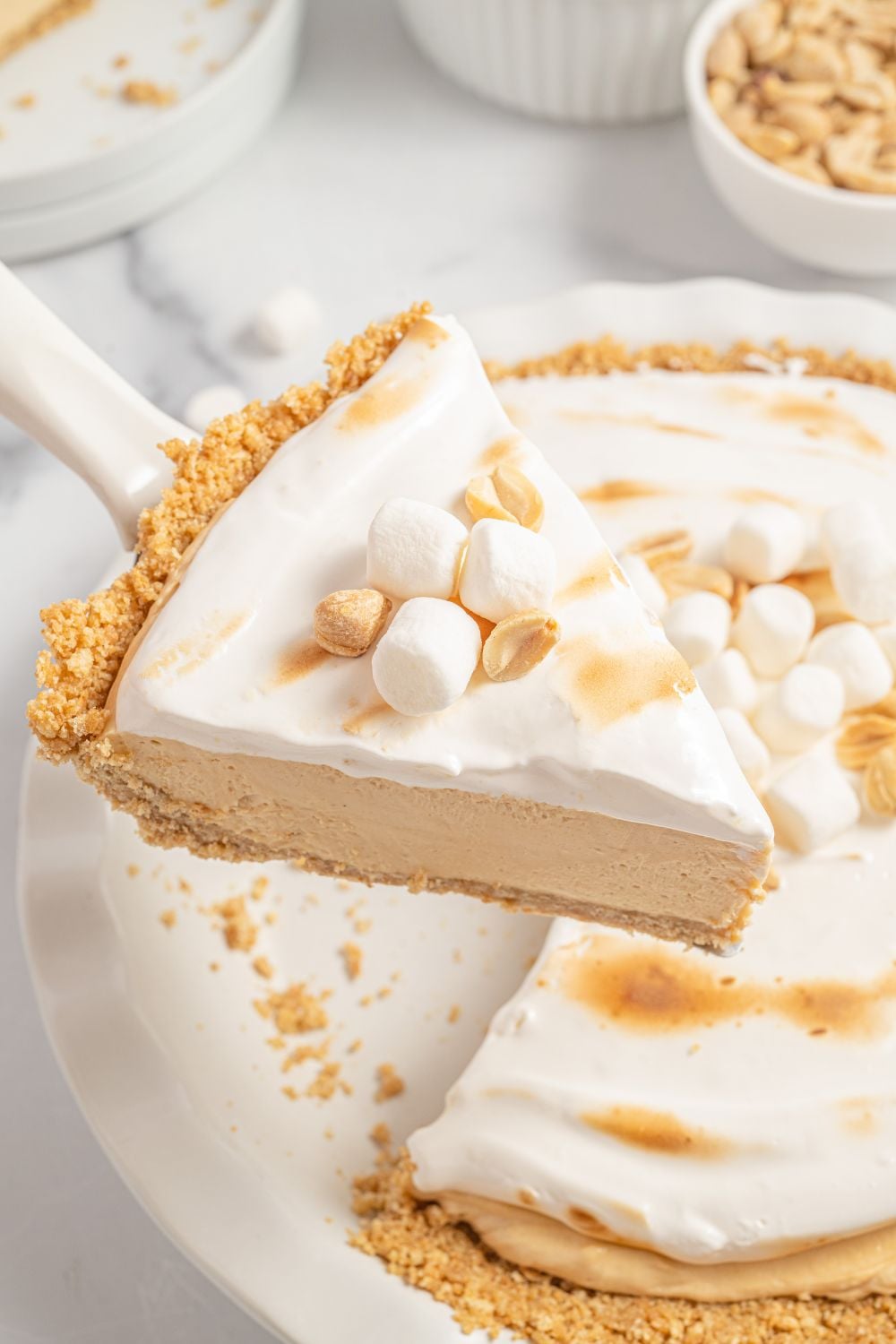 slice of pie above the pan