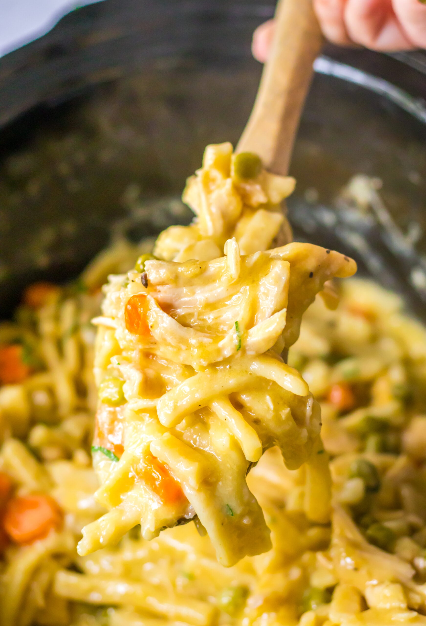 Crockpot Chicken & Noodles in a black crockpot with a spoonful being lifted up