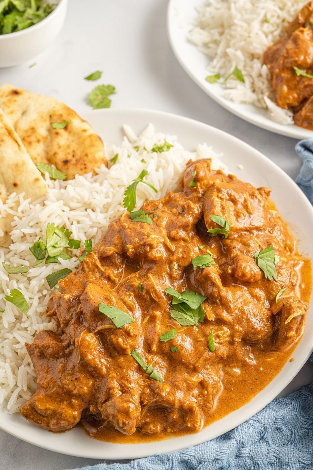chicken tikka masala with rice and chicken with parsley on top