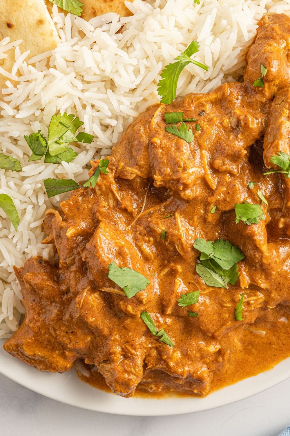 plate of chicken masala with white rice on the side