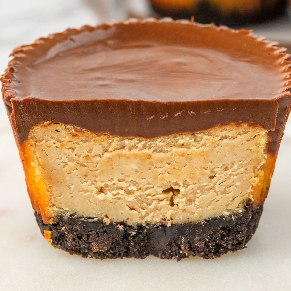 Peanut Butter Cheesecake Bite cut in half and sitting on table