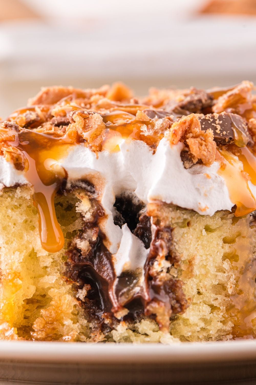 side view of cake close up