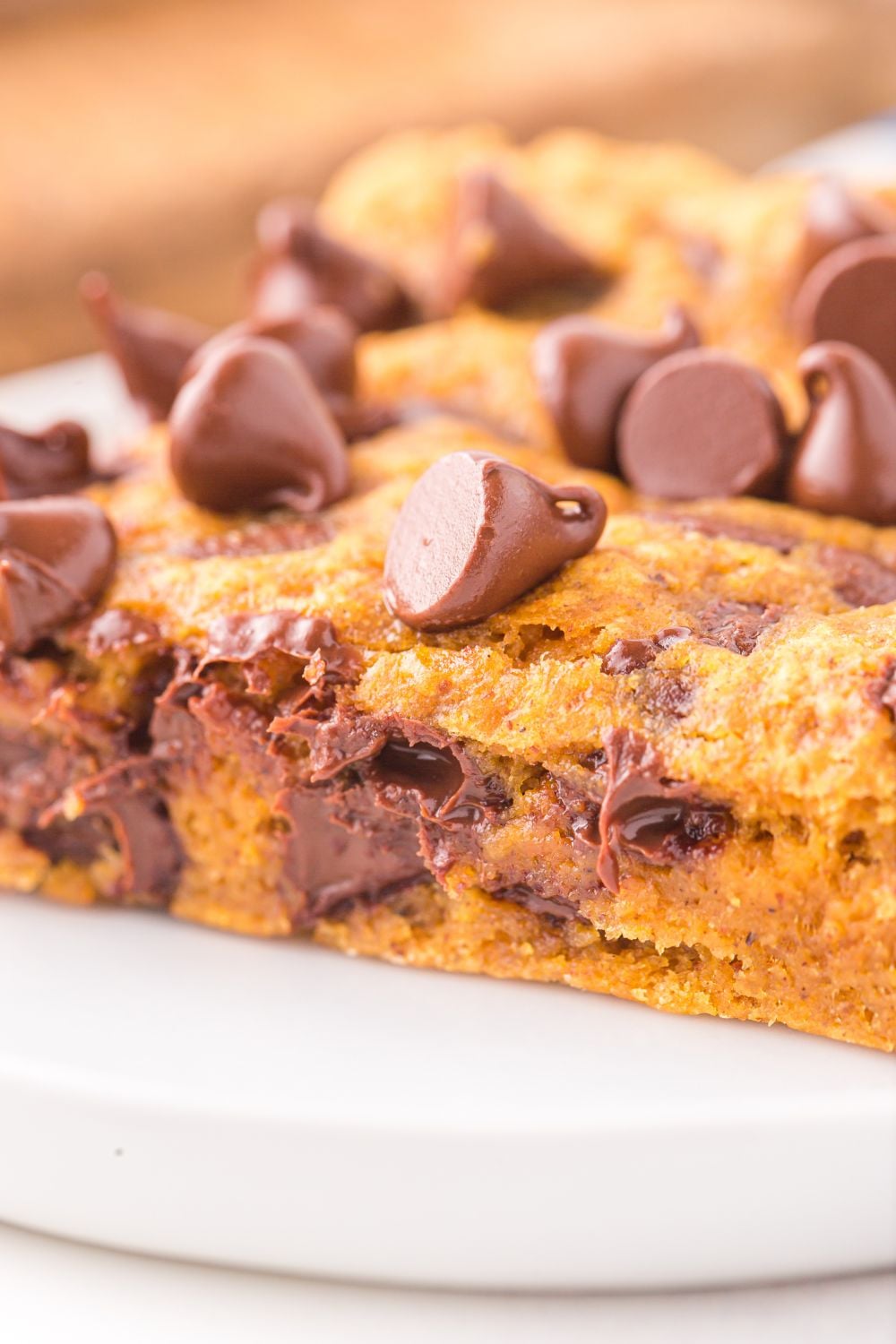 pumpkin and chocolate chip cookie bar close up on plate
