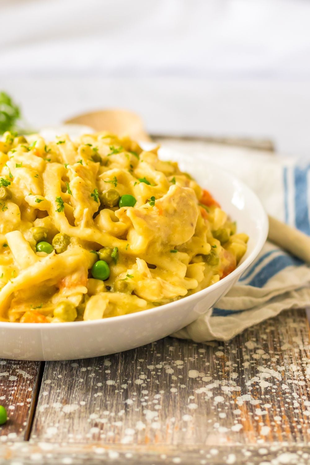 bowl of chicken and noodles
