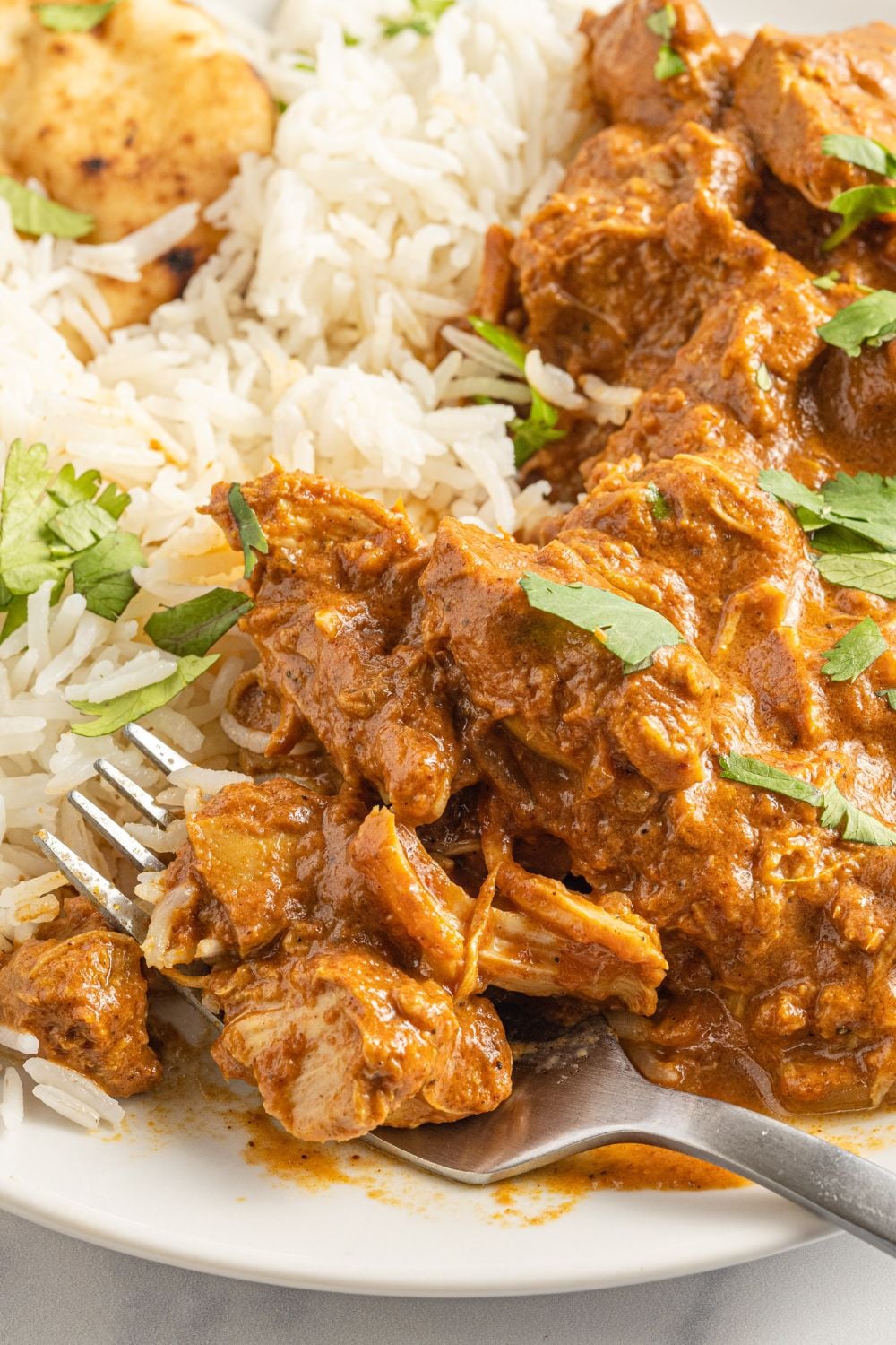 plate with fork and chicken mixture on it with rice on the side
