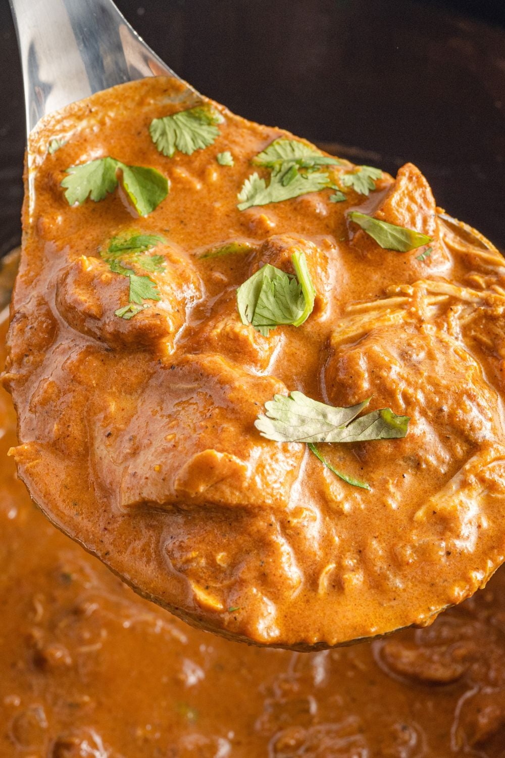 ladle with chicken tikka close up