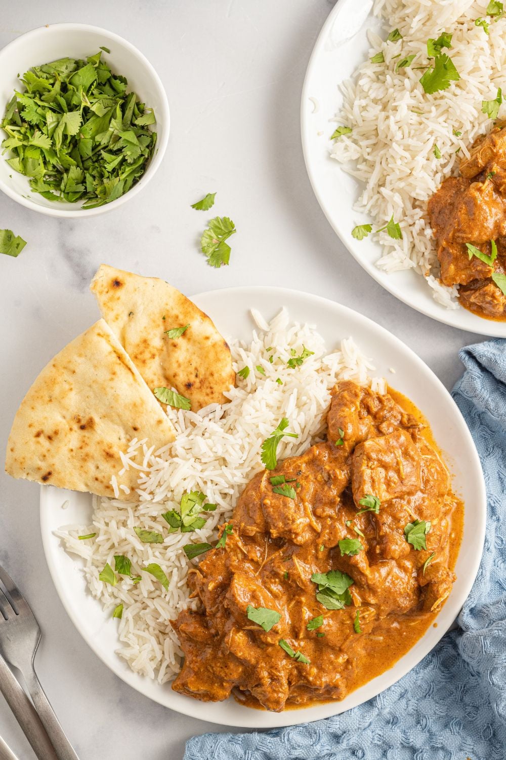 plate with chicken masala, rice, and pita on plate