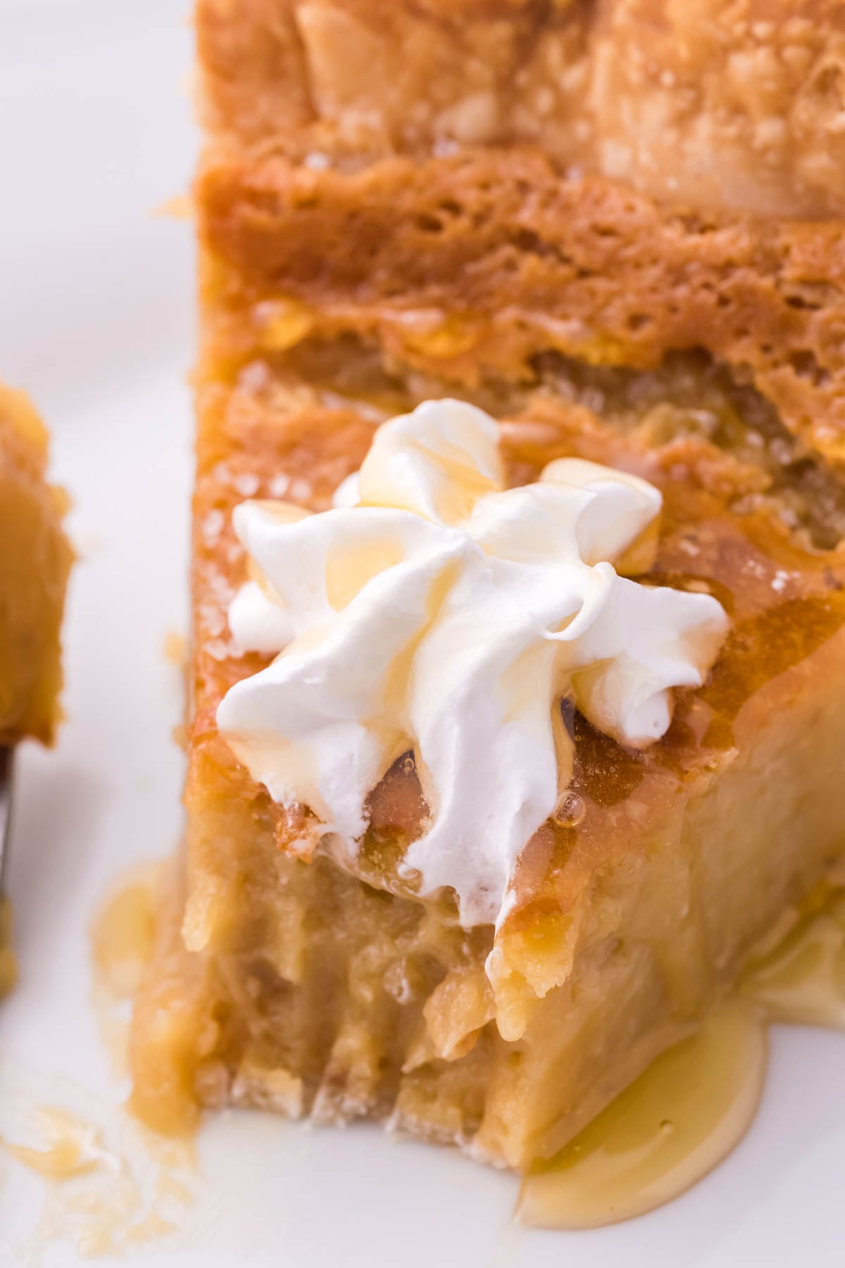 up close shot of honey pie with a bite removed