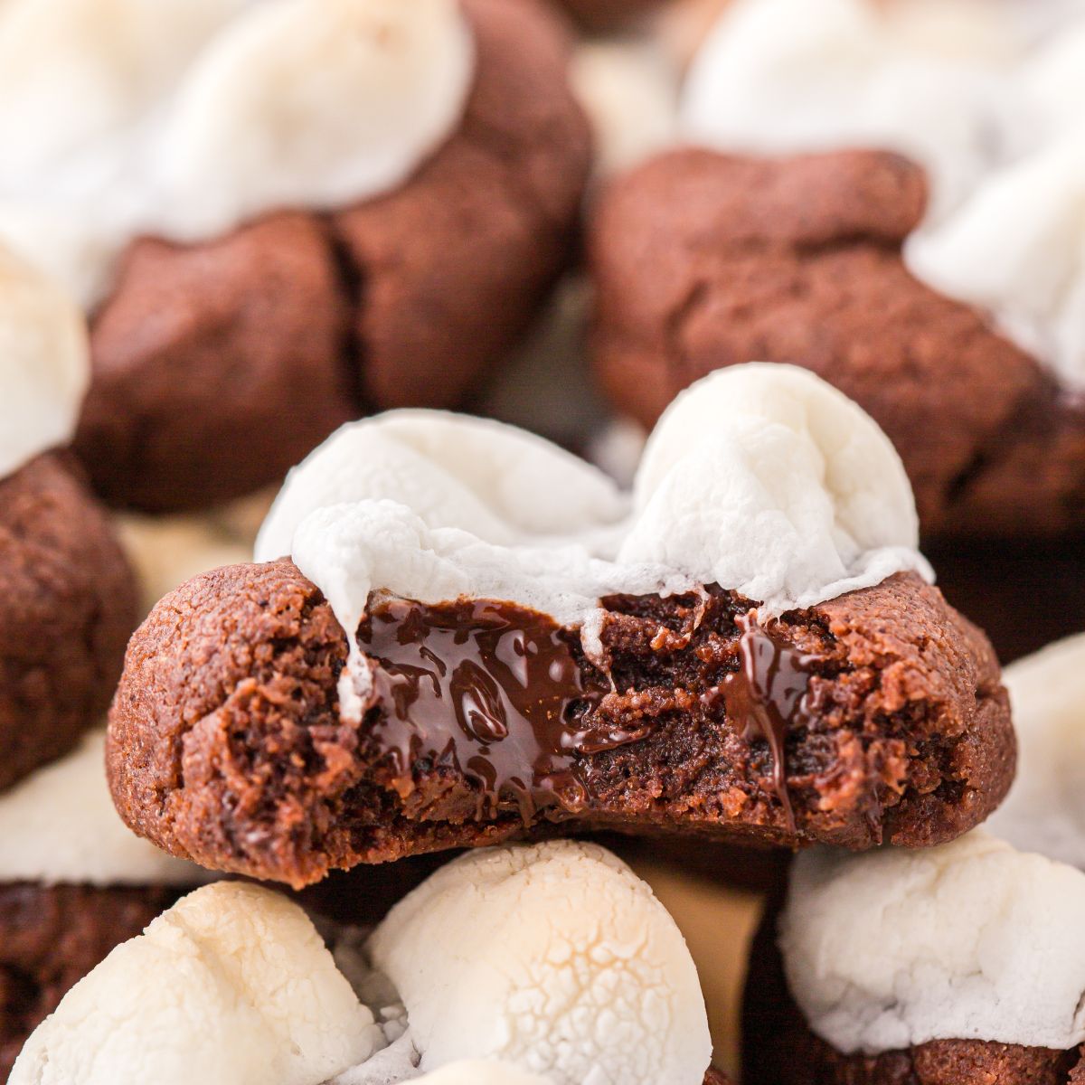Hot Chocolate Cookies with a bite taken out of it