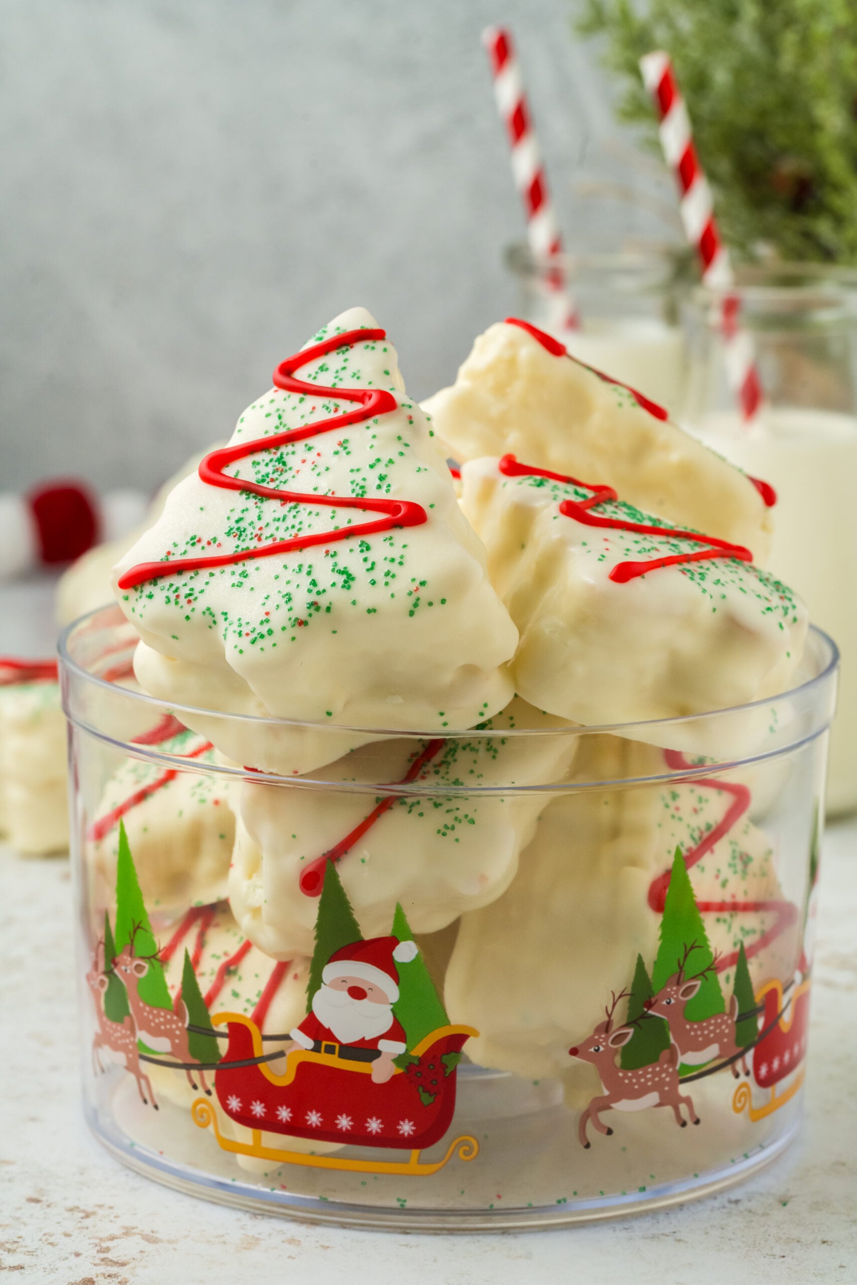 plastic container with mini cakes inside