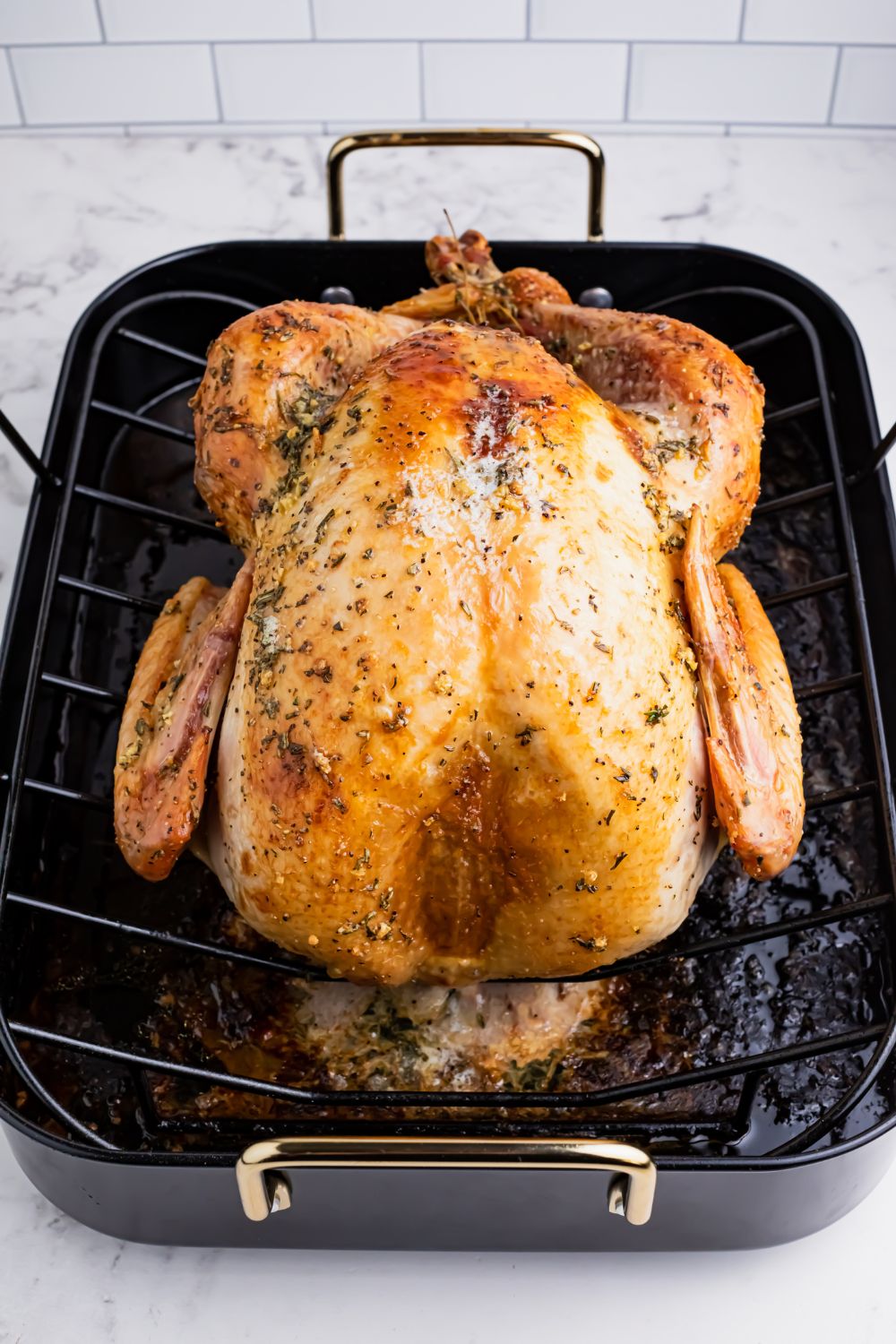 roasted turkey in a pan on table