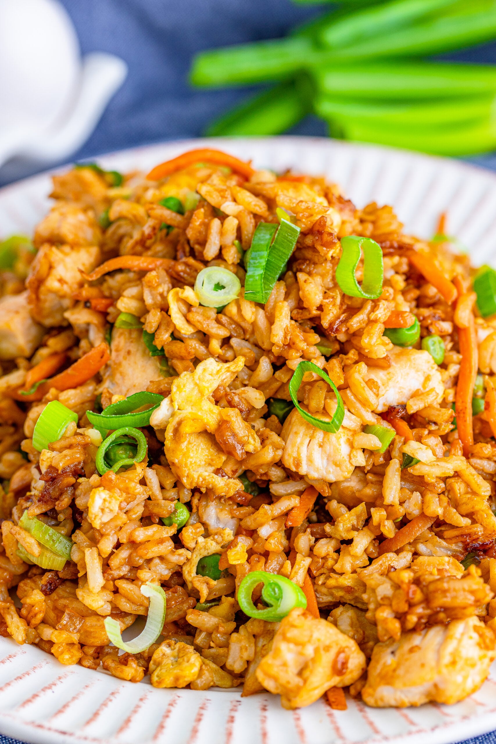 chicken fried rice on plate