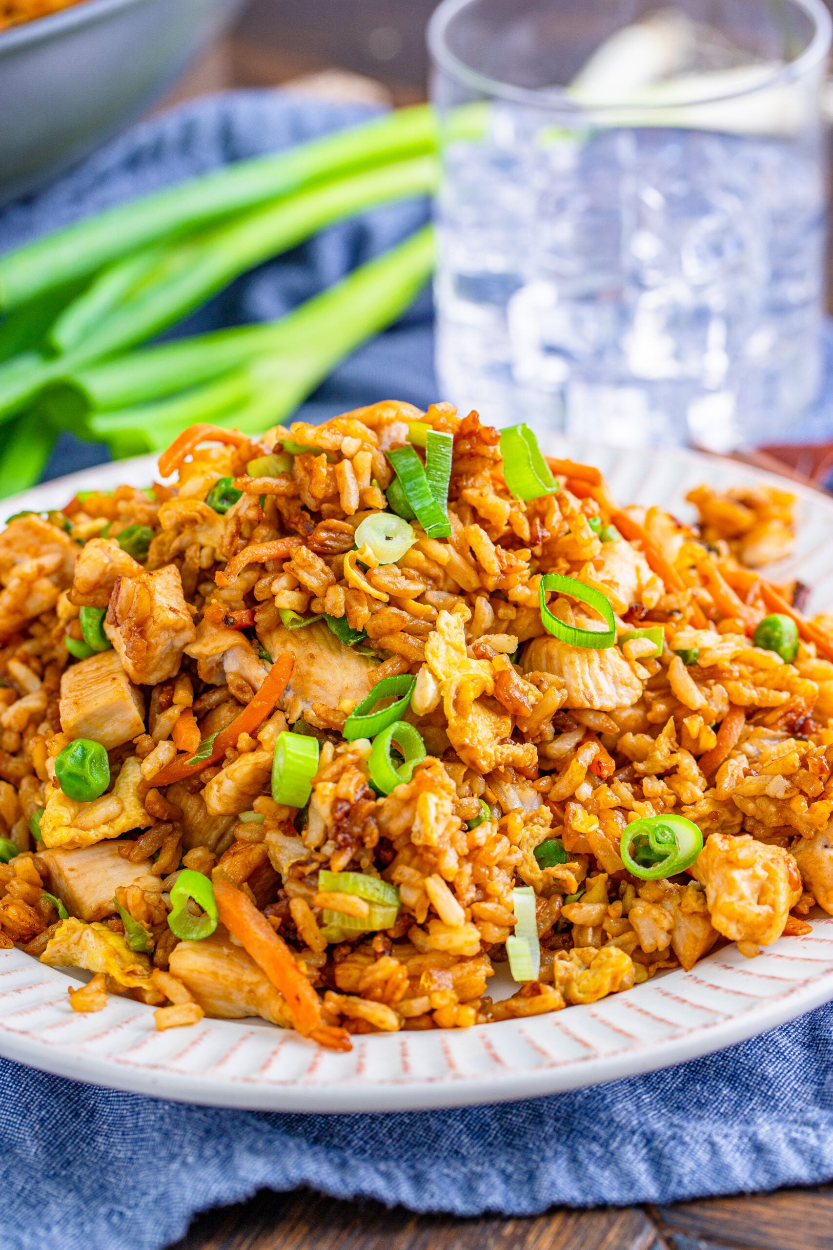 plate with chicken fried rice on it