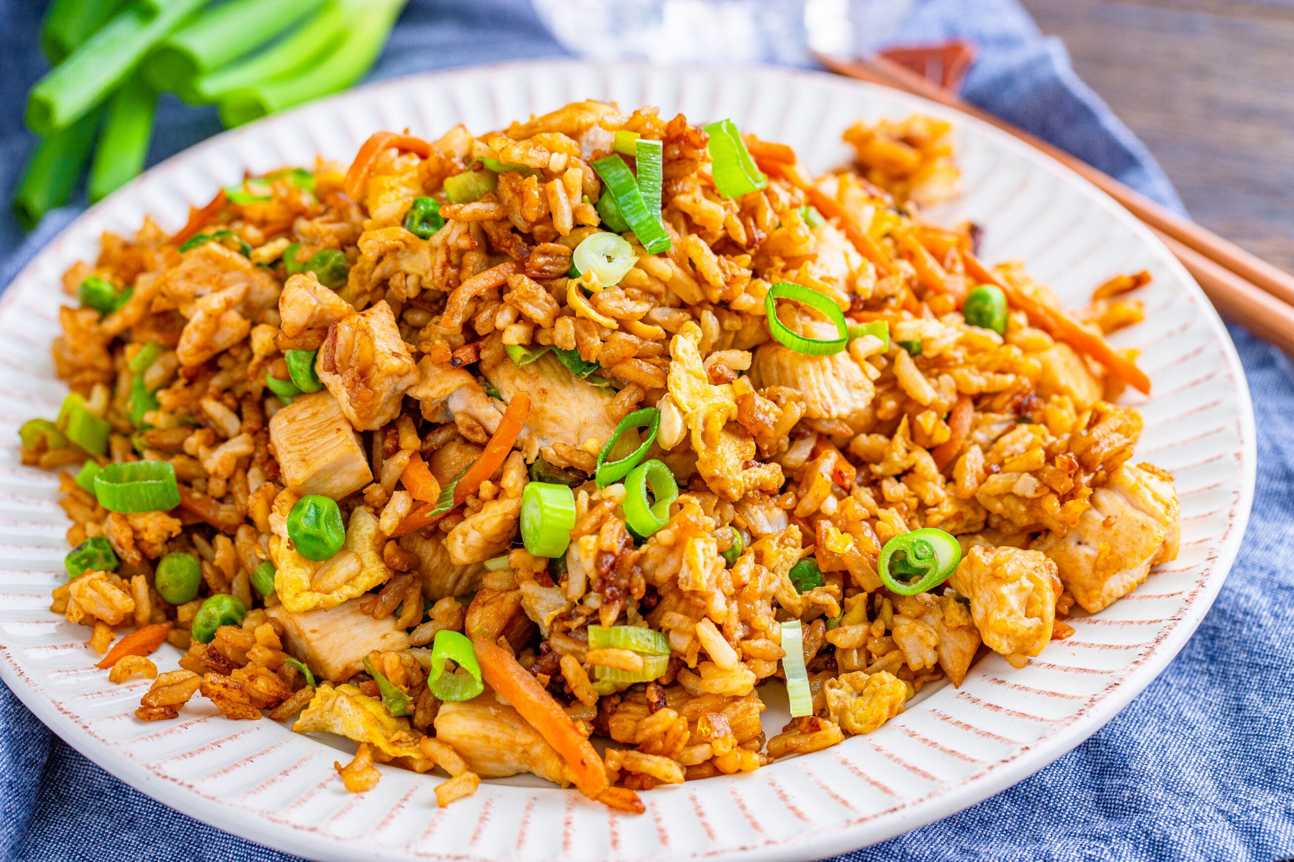 plate with chicken fried rice