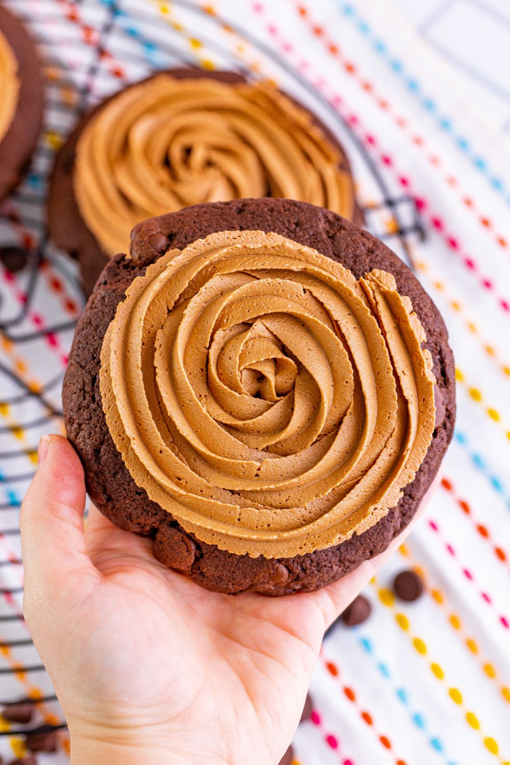 Holding a Chocolate Cake Cookie in a hand 