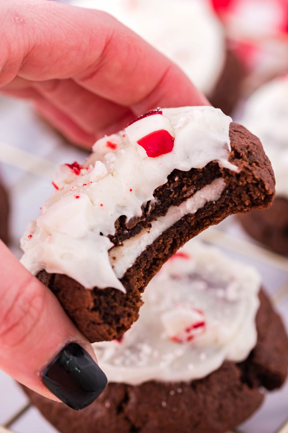 holding cookie with a bite taken out of it 