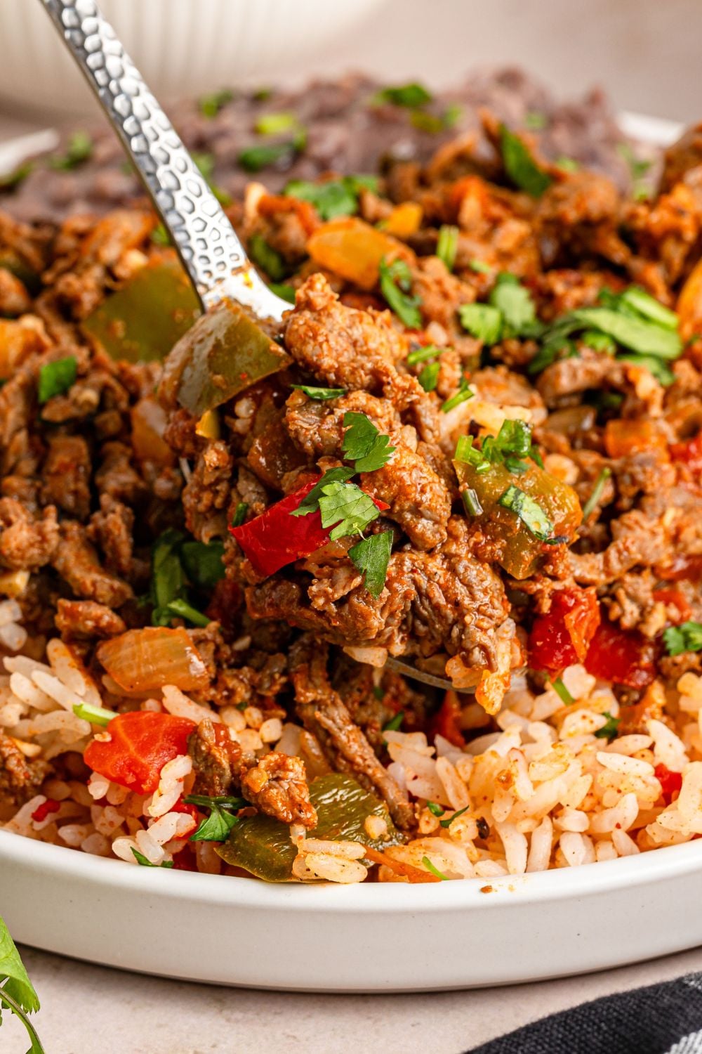 Carne Picada in a bowl with rice under it and a spoonful of meat to show the beef