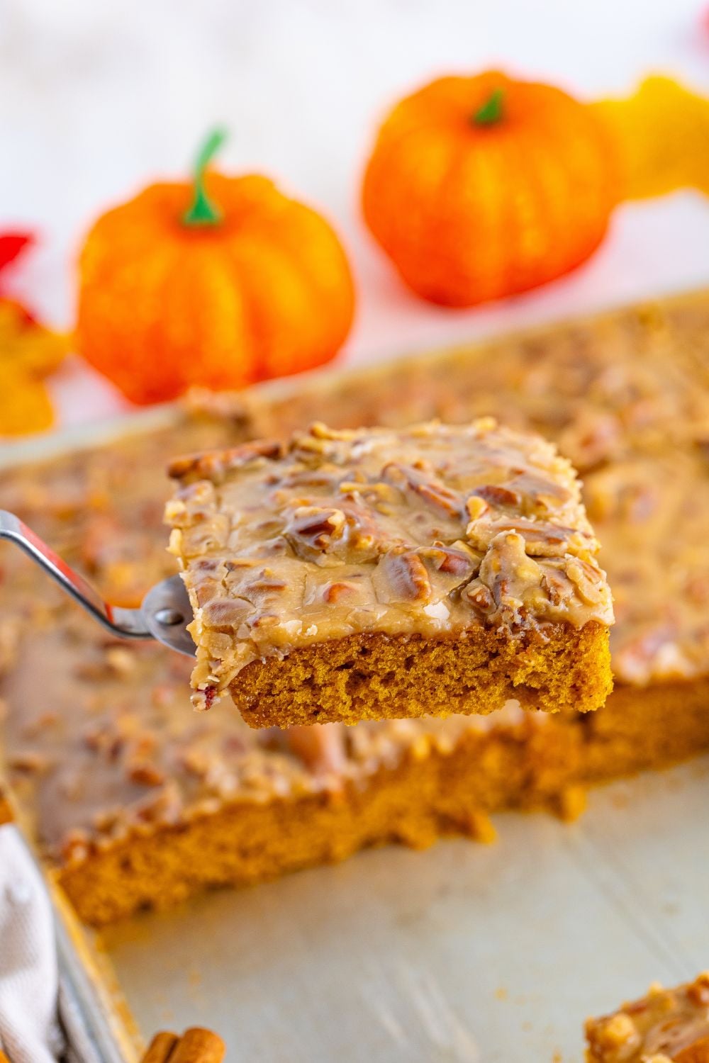 Pumpkin Snack Cake with Praline Icing in pan with a spatula with a slice being lifted out of pan