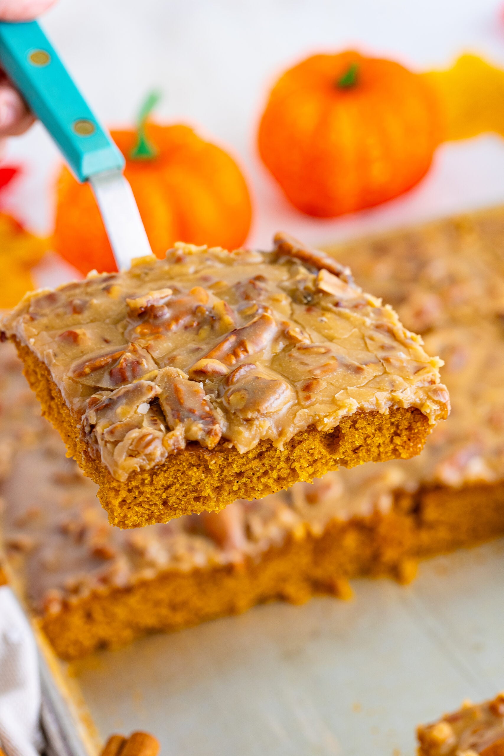 Pumpkin Snack Cake with Praline Icing slice being lifted up on a spatula