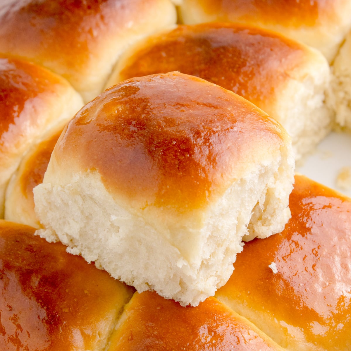 Hawaiian Dinner Rolls