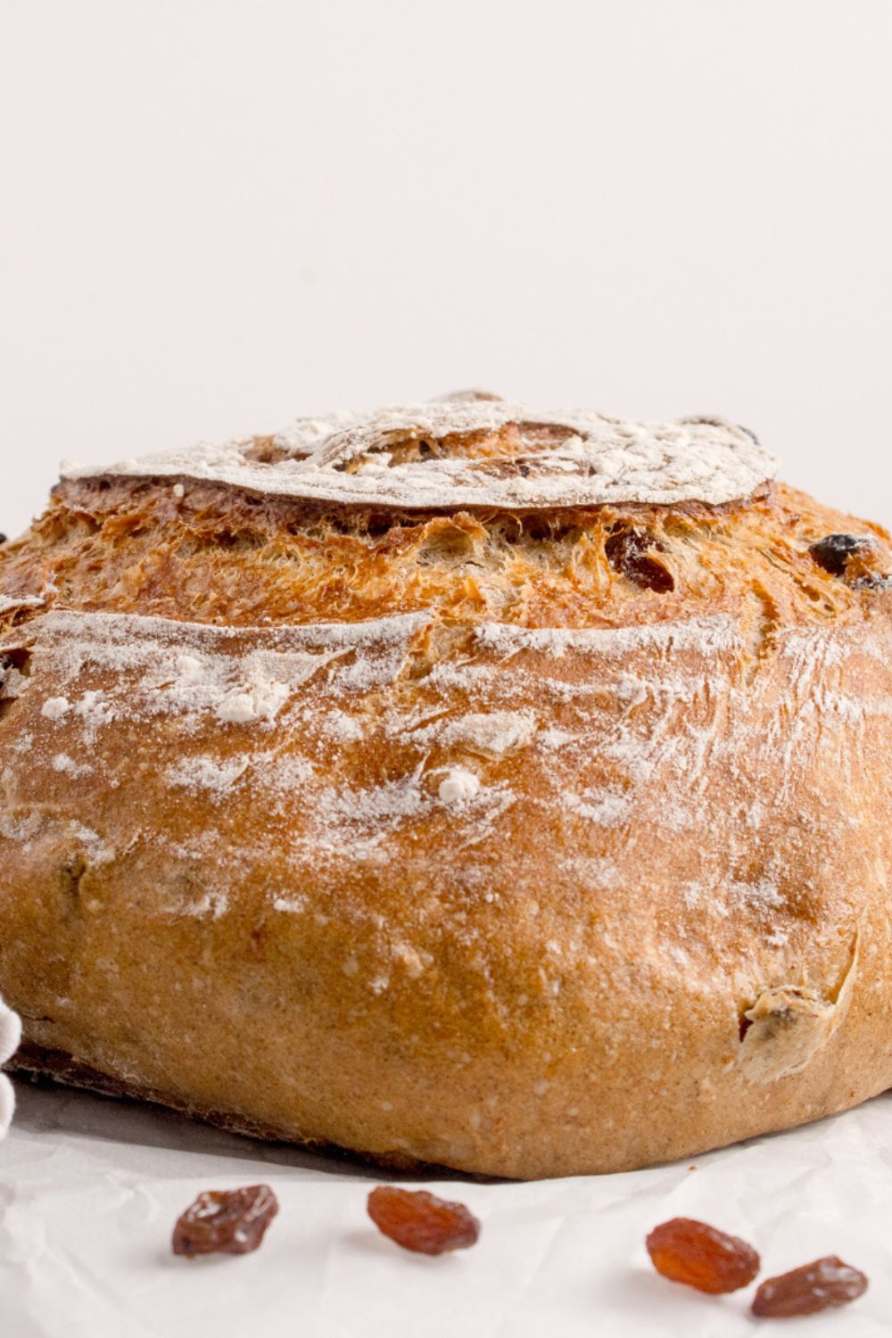 round loaf of No-knead Cinnamon Raisin Bread sitting on table for a close up view
