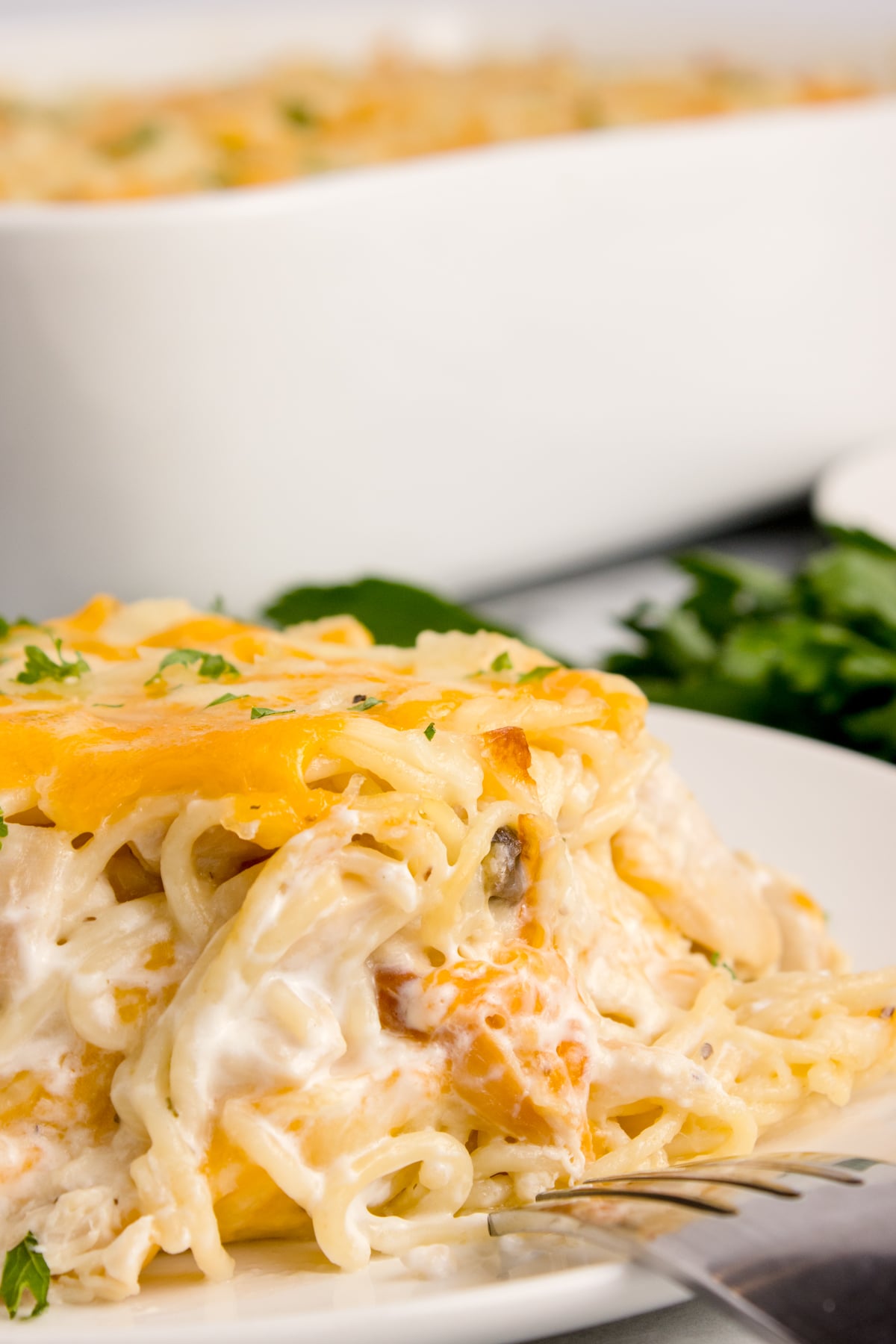 Up close shot of Chicken Tetrazzini on a plate
