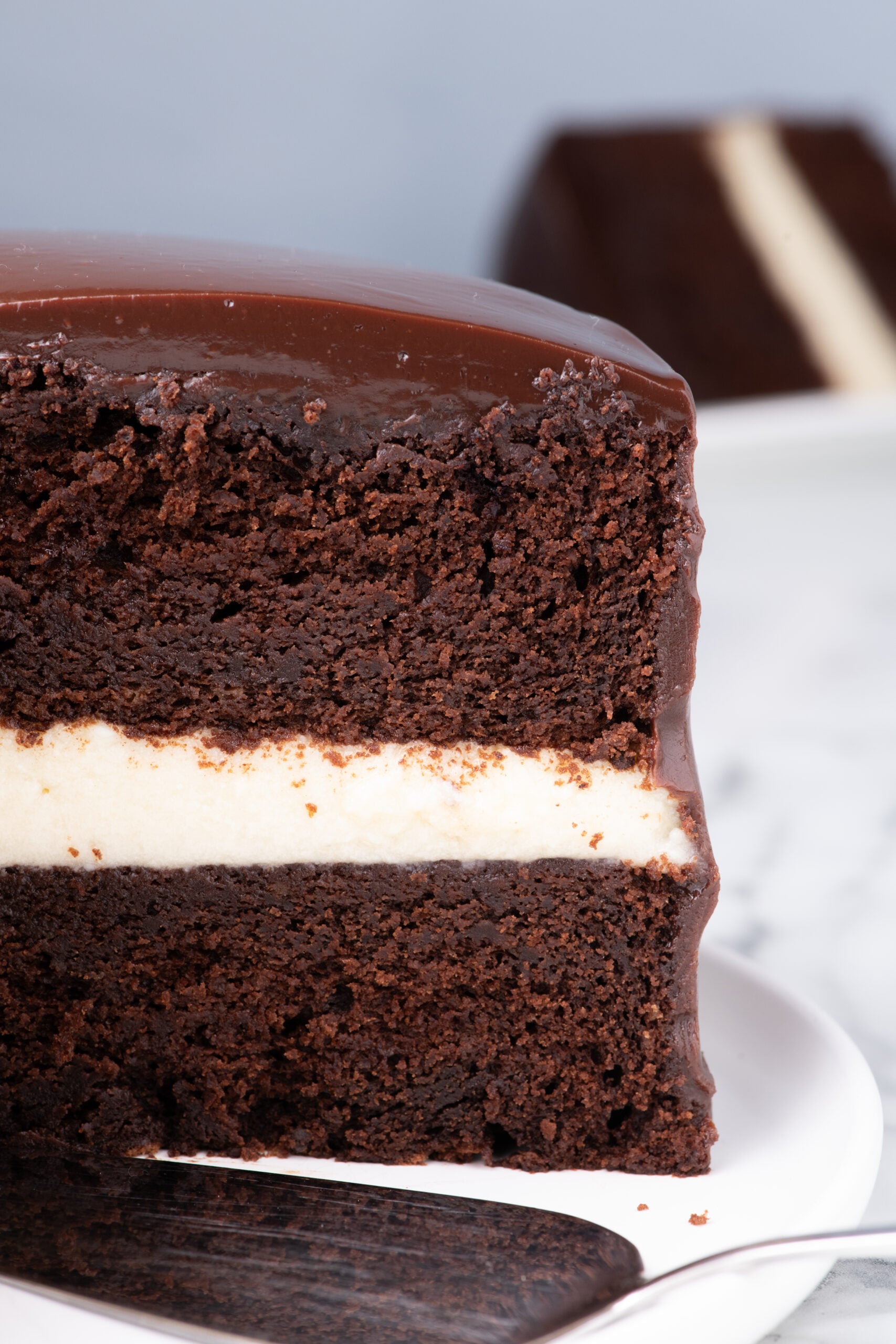 Side view of the inside of the ding dong cake showing the moist layers