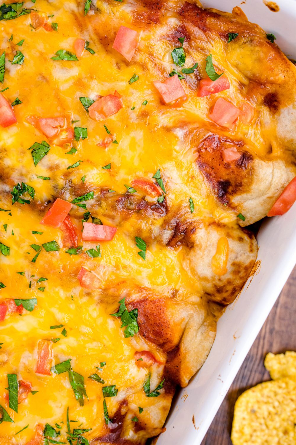 Cheesy Chicken Enchiladas topped with cilantro and diced tomatoes in casserole dish