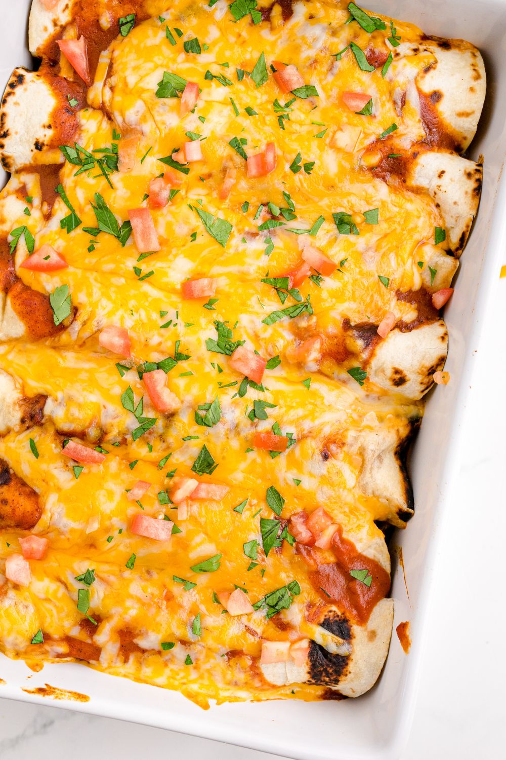 Cheesy Chicken Enchiladas in a casserole dish in pan with cilantro on top