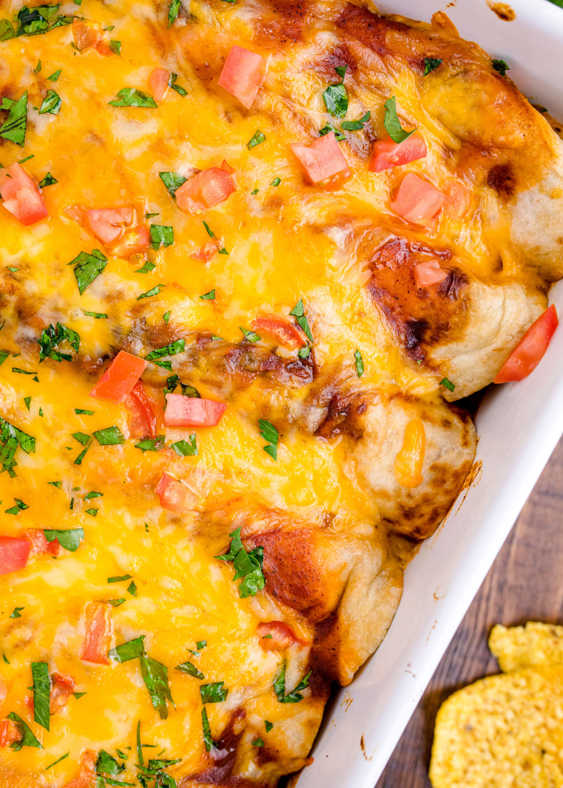 close up of Cheesy Chicken Enchiladas in a white baking dish