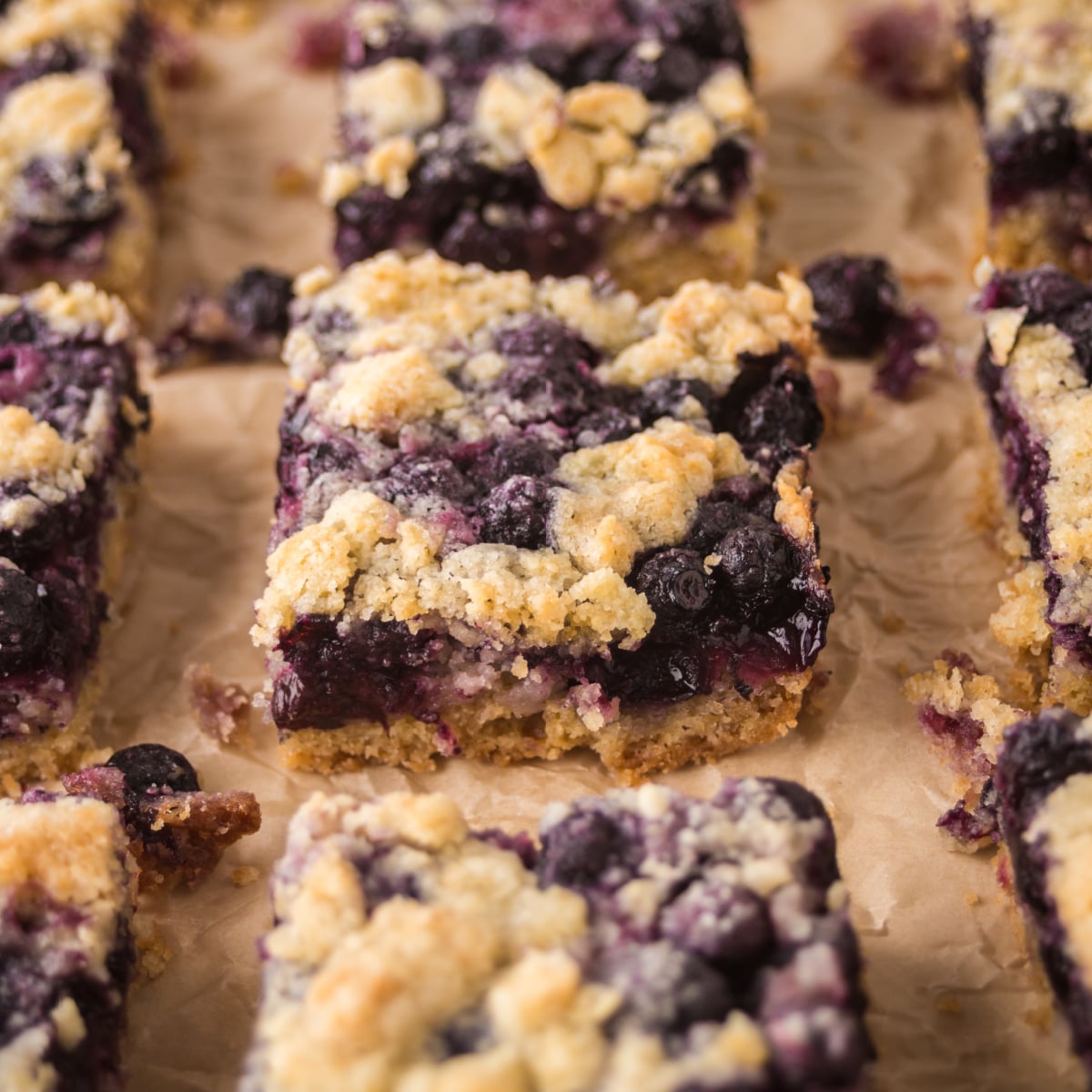 Blueberry Crumb Bars