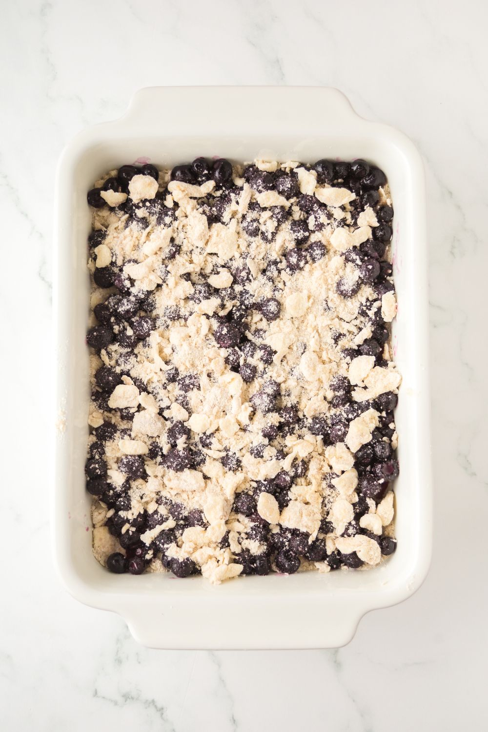 Blueberry Crumb Bars in raw form in a casserole dish