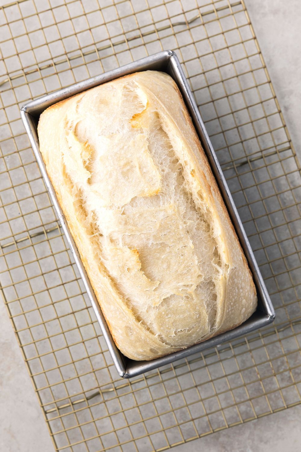 baked Homemade Sourdough Bread in a loaf pan on cooling rack 